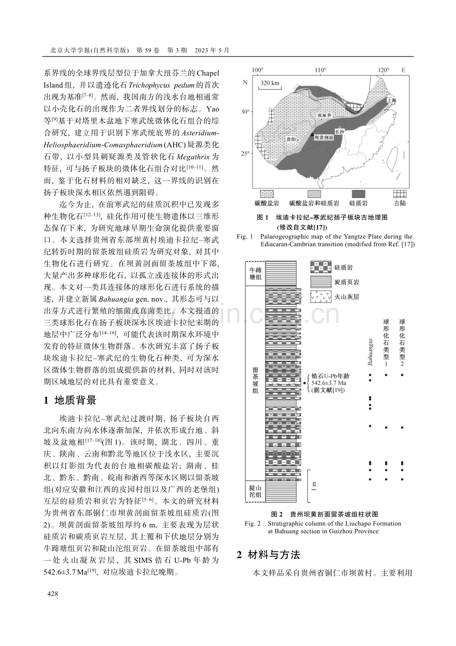 贵州埃迪卡拉系–寒武系留茶坡组中球形化石的研究.pdf_第2页