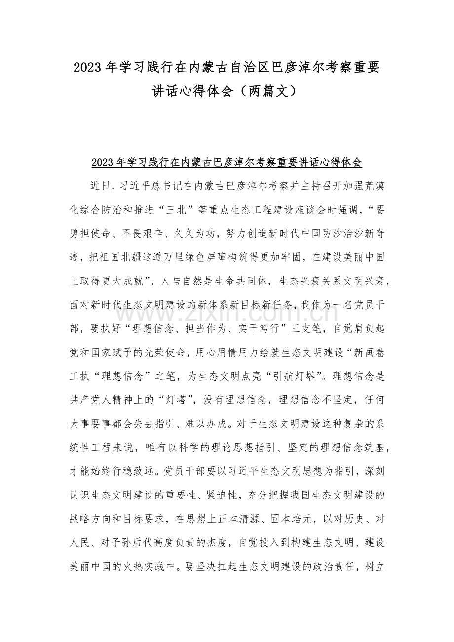 2023年学习践行在内蒙古自治区巴彦淖尔考察重要讲话心得体会（两篇文）.docx_第1页