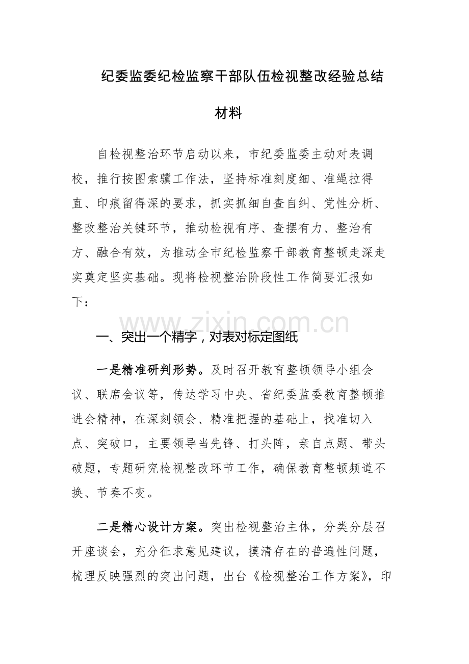 2023年纪委监委纪检监察干部队伍检视整改经验总结材料范文.docx_第1页