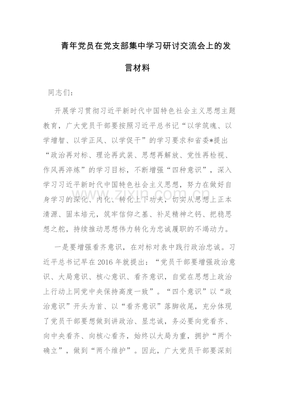 青年党员在党支部集中学习研讨交流会上的发言材料2篇.docx_第1页