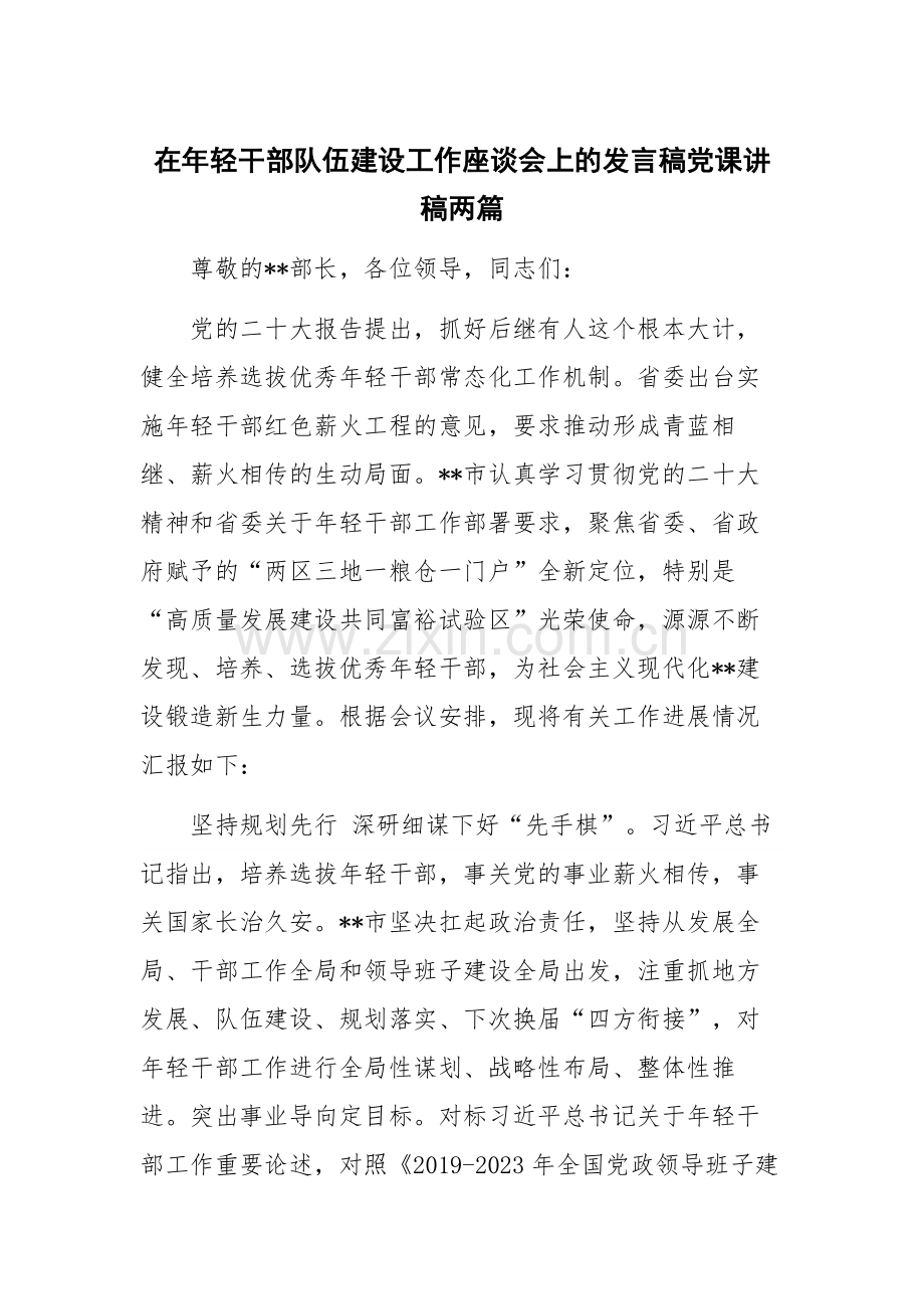 在年轻干部队伍建设工作座谈会上的发言稿党课讲稿两篇.docx_第1页