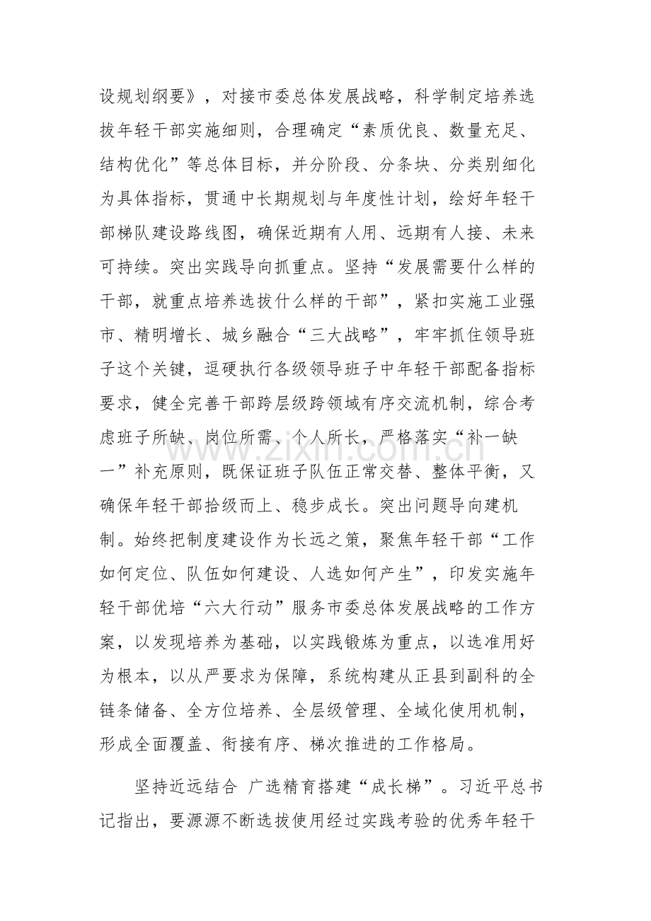 在年轻干部队伍建设工作座谈会上的发言稿党课讲稿两篇.docx_第2页