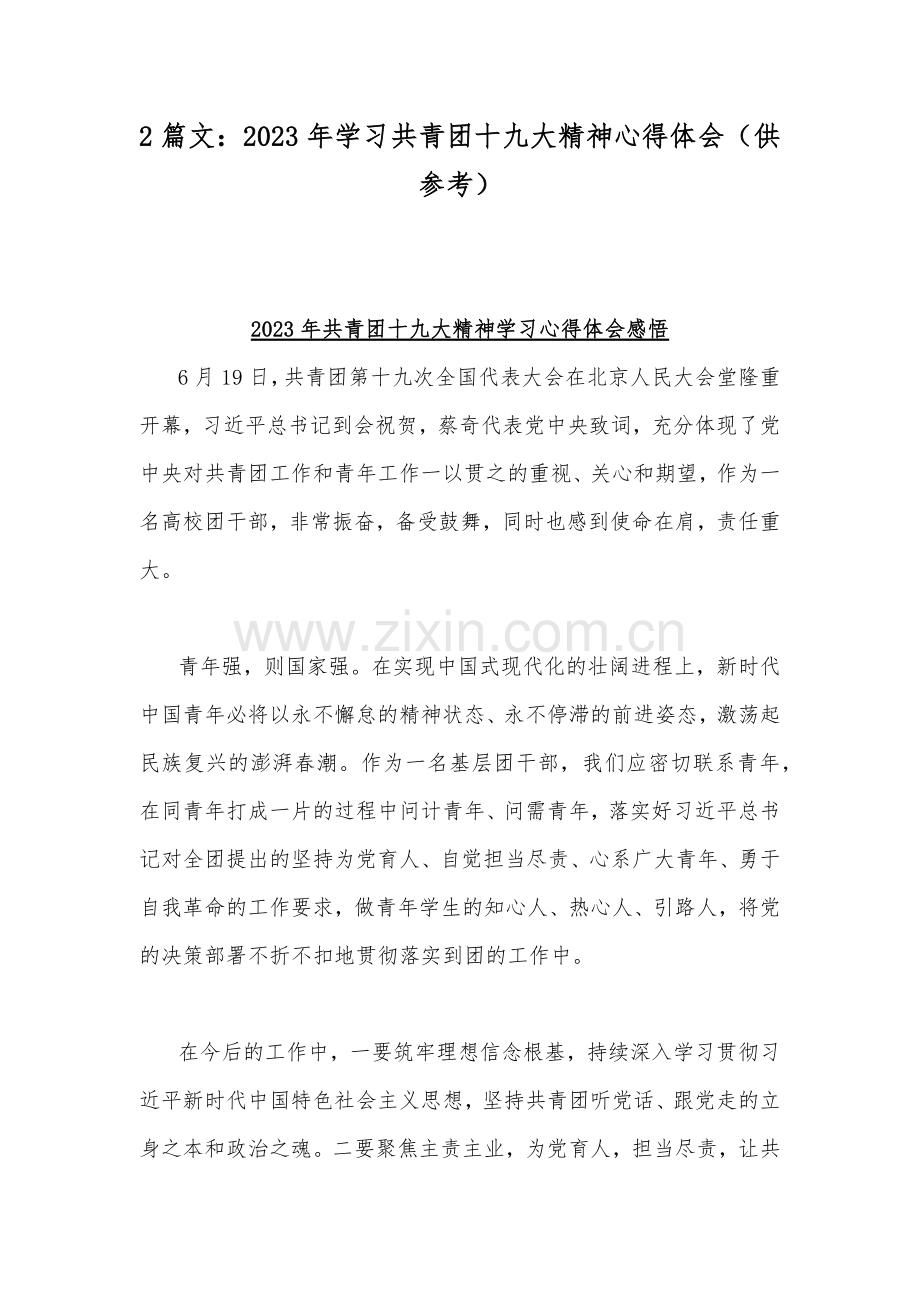 2篇文：2023年学习共青团十九大精神心得体会（供参考）.docx_第1页