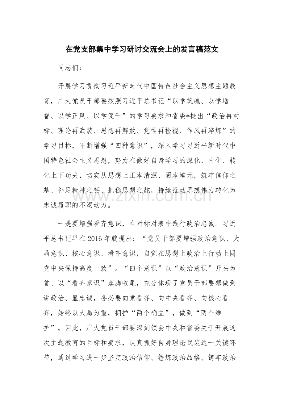 在党支部集中学习研讨交流会上的发言稿范文.docx_第1页