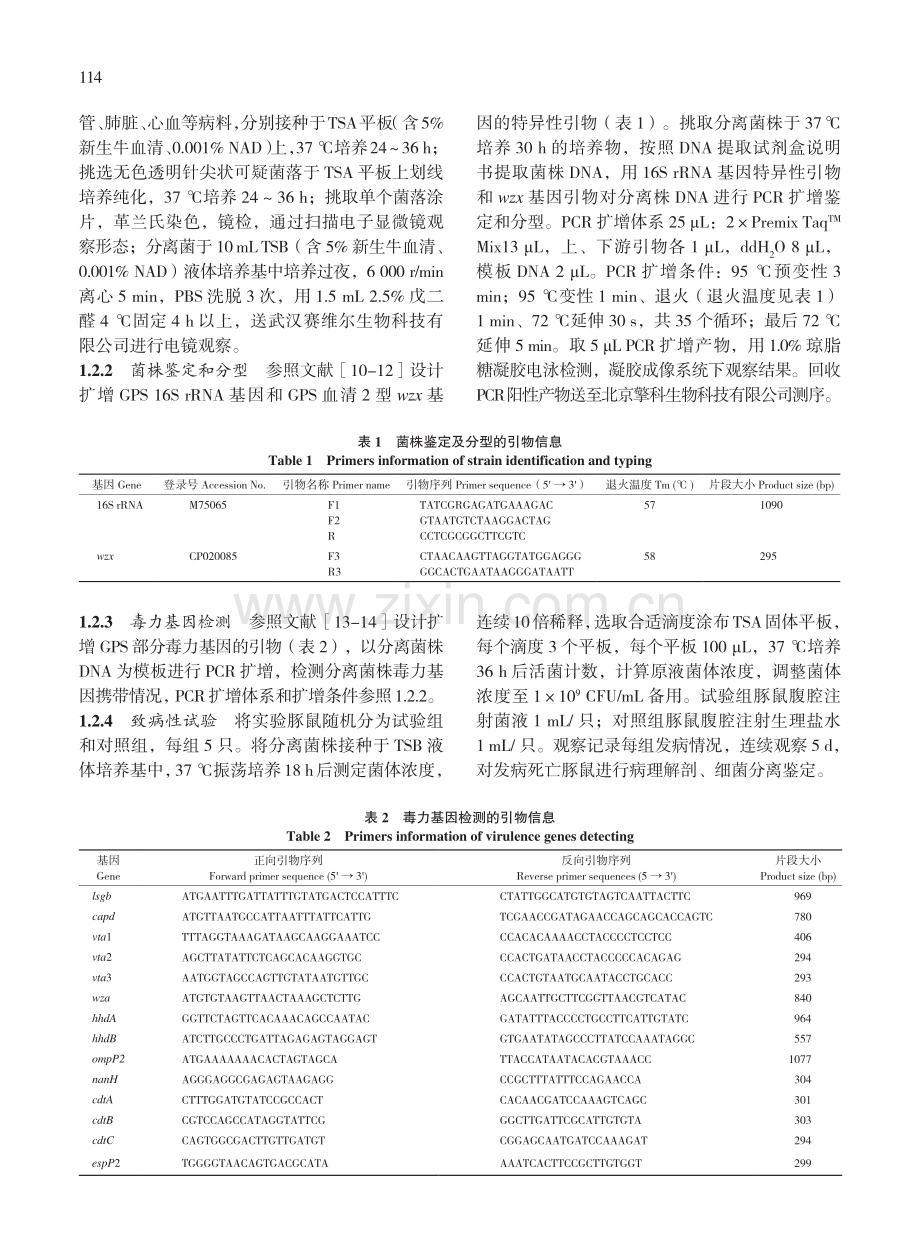 副猪格拉菌血清2型毒力及耐药性分析_王治方.pdf_第3页