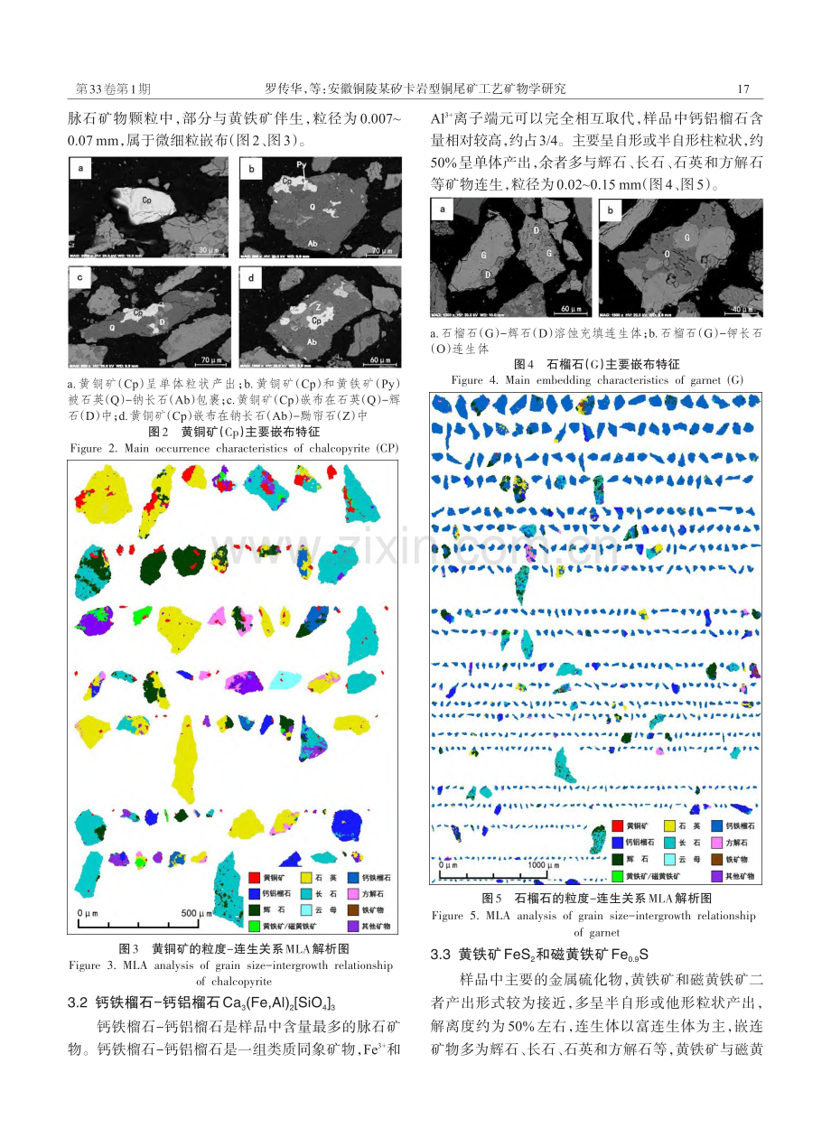 安徽铜陵某矽卡岩型铜尾矿工艺矿物学研究_罗传华.pdf_第3页