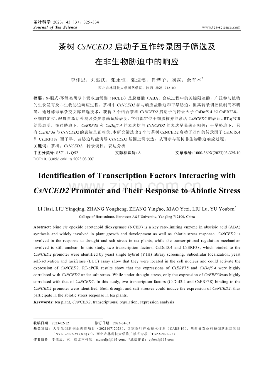 茶树CsNCED2启动子互...筛选及在非生物胁迫中的响应_李佳思.pdf_第1页