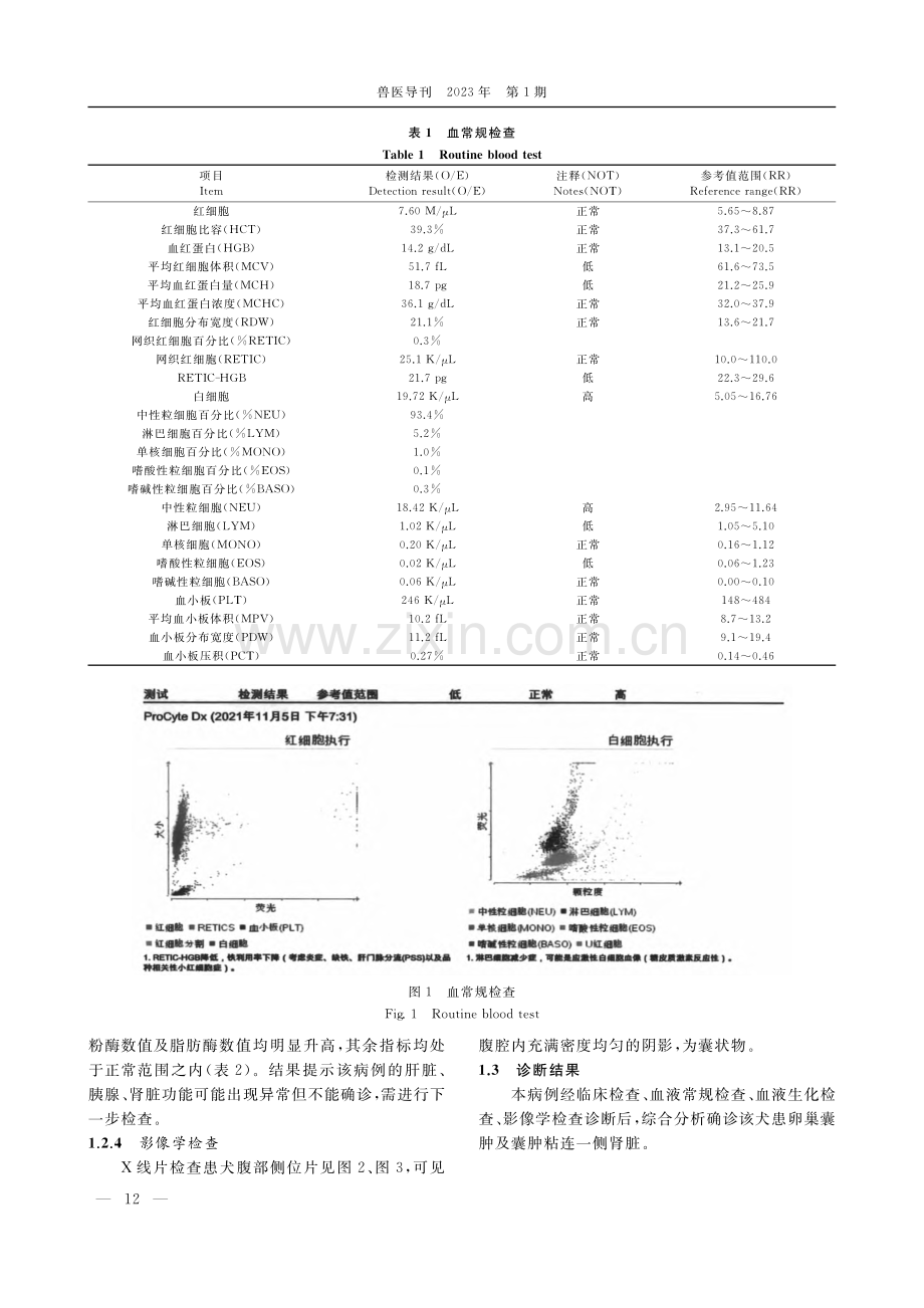 1例犬卵巢囊肿的诊断与治疗_张玉良.pdf_第2页