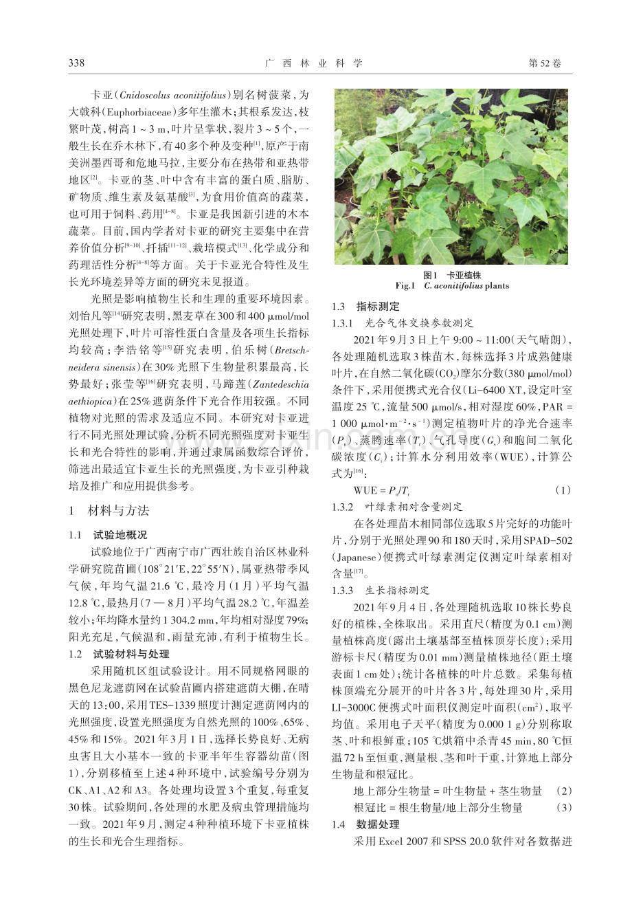 光照强度对卡亚生长和光合特性的影响_魏秋兰.pdf_第2页