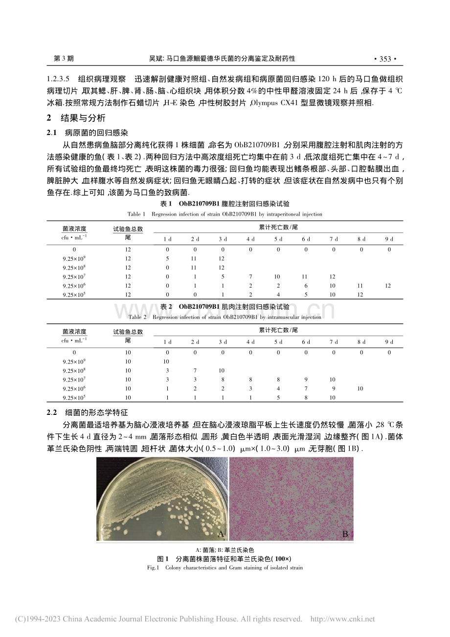 马口鱼源鮰爱德华氏菌的分离鉴定及耐药性_吴斌.pdf_第3页