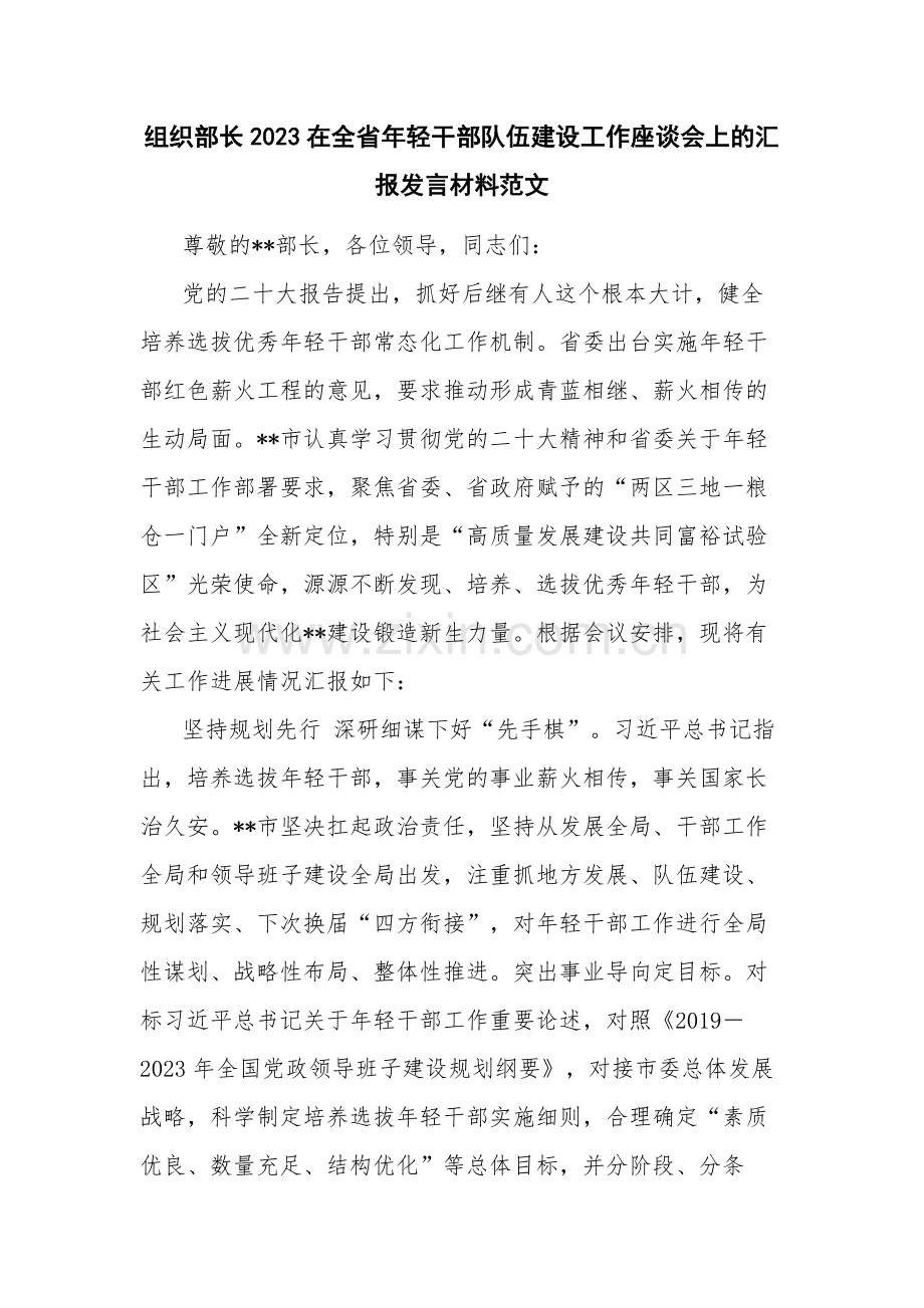 组织部长2023在全省年轻干部队伍建设工作座谈会上的汇报发言材料范文.docx_第1页