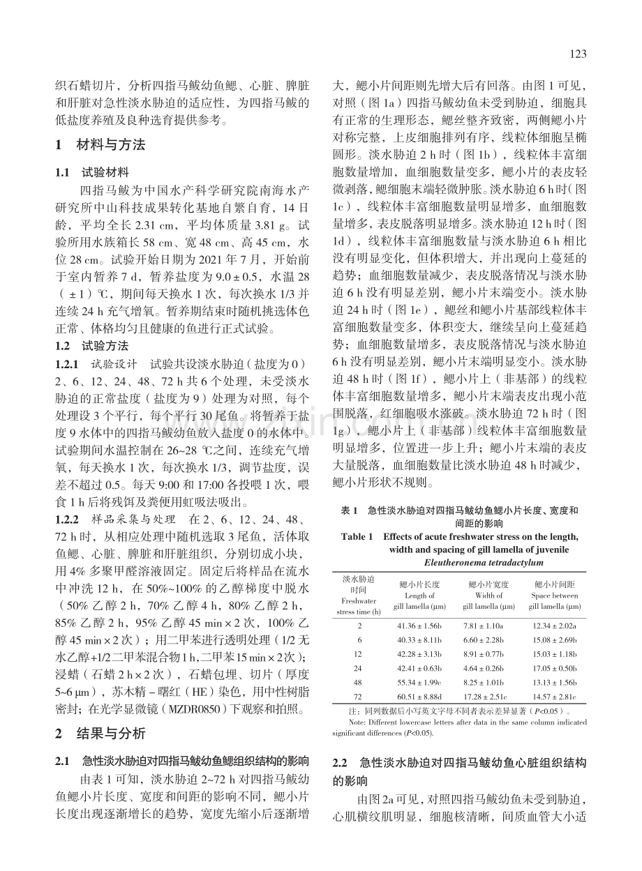 急性淡水胁迫对四指马鲅幼鱼...、脾脏和肝脏组织结构的影响_徐淑玉.pdf_第3页