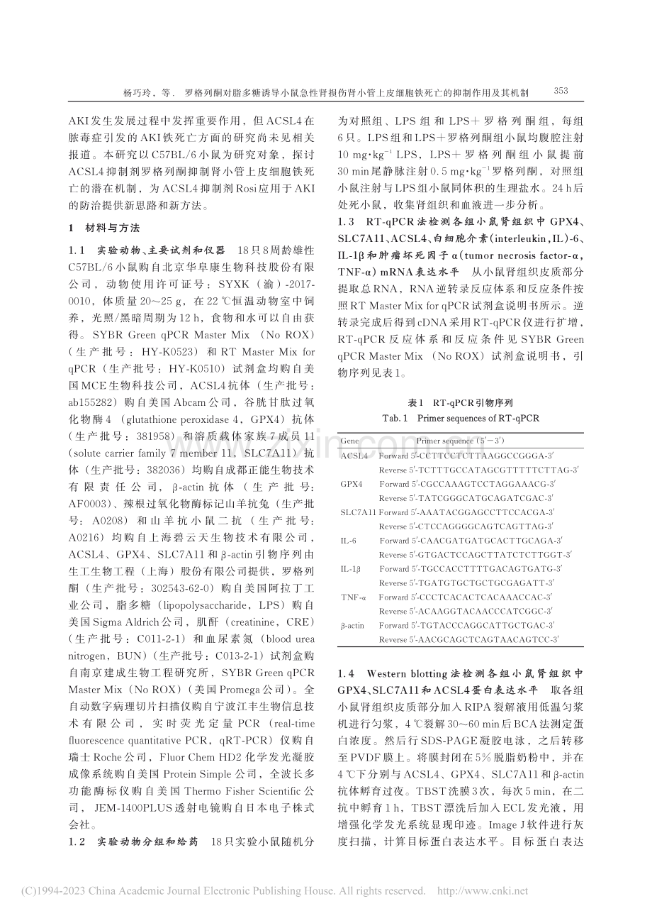 罗格列酮对脂多糖诱导小鼠急...胞铁死亡的抑制作用及其机制_杨巧玲.pdf_第3页