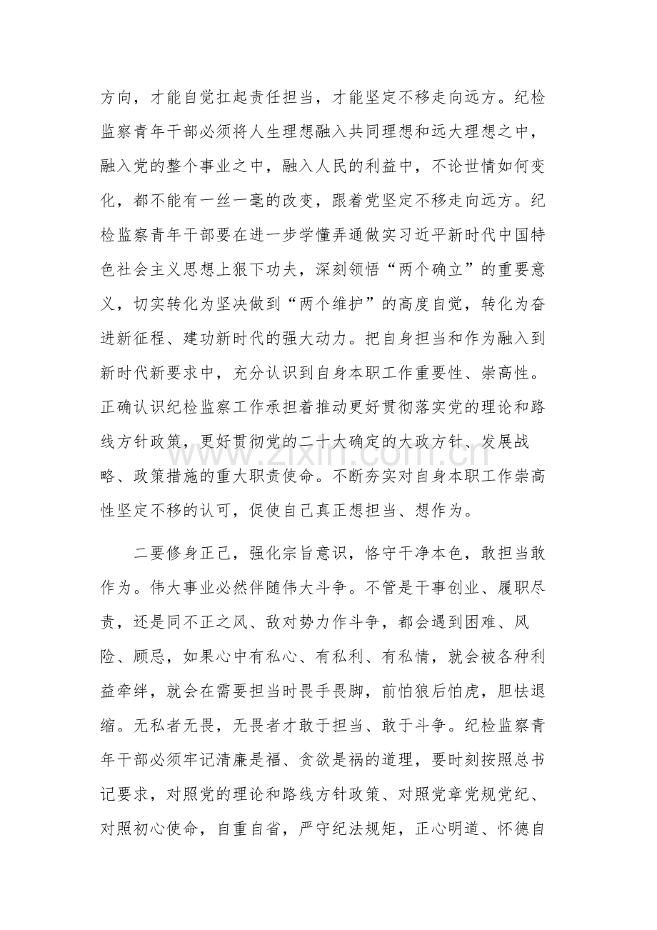 关于做新时代做忠诚、干净、担当的青年纪检监察干部交流发言材料范文.docx_第2页