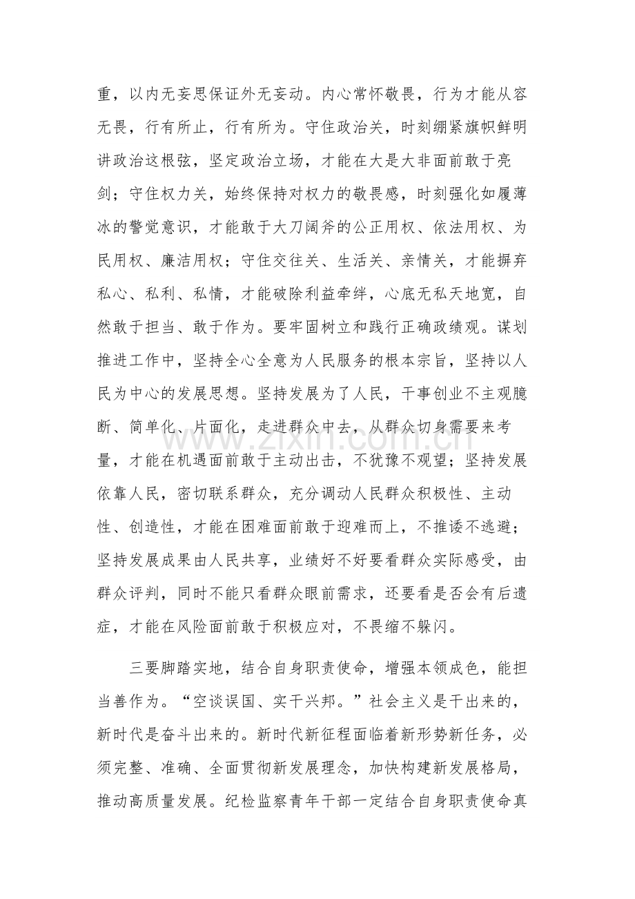 关于做新时代做忠诚、干净、担当的青年纪检监察干部交流发言材料范文.docx_第3页