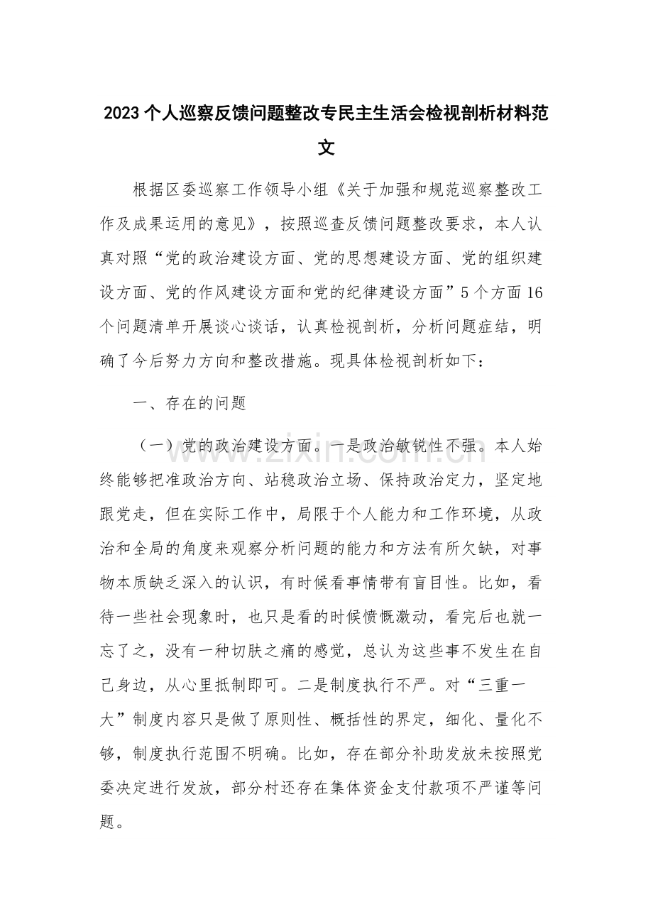 2023个人巡察反馈问题整改专民主生活会检视剖析材料范文.docx_第1页