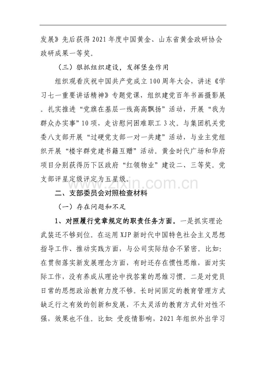 202x年度党支部工作总结及支部委员会对照检查材料.doc_第2页