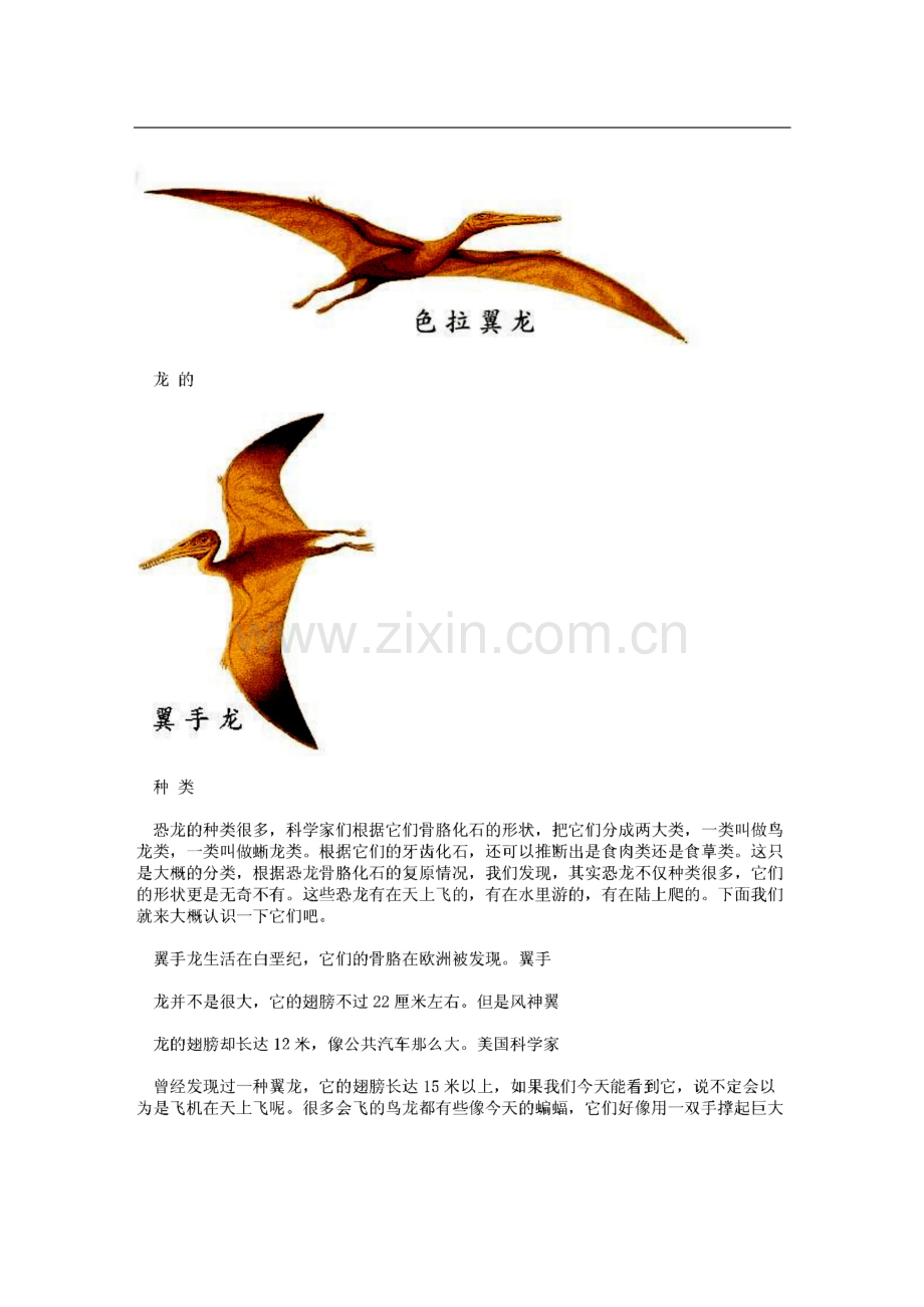 有关恐龙的资料及图片.pdf_第2页