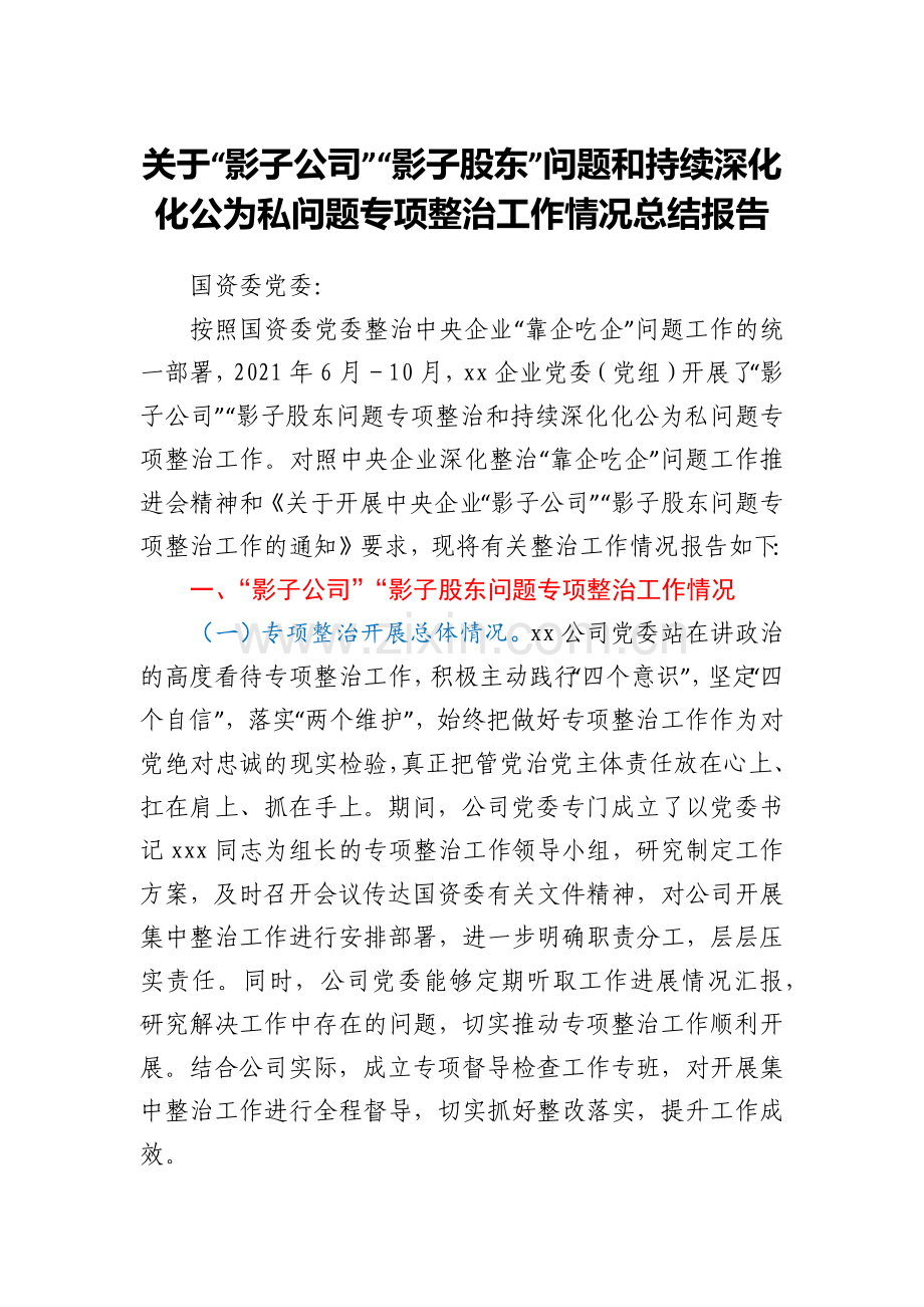 关于“影子公司”“影子股东”问题和持续深化化公为私问题专项整治工作情况总结报告.docx_第1页