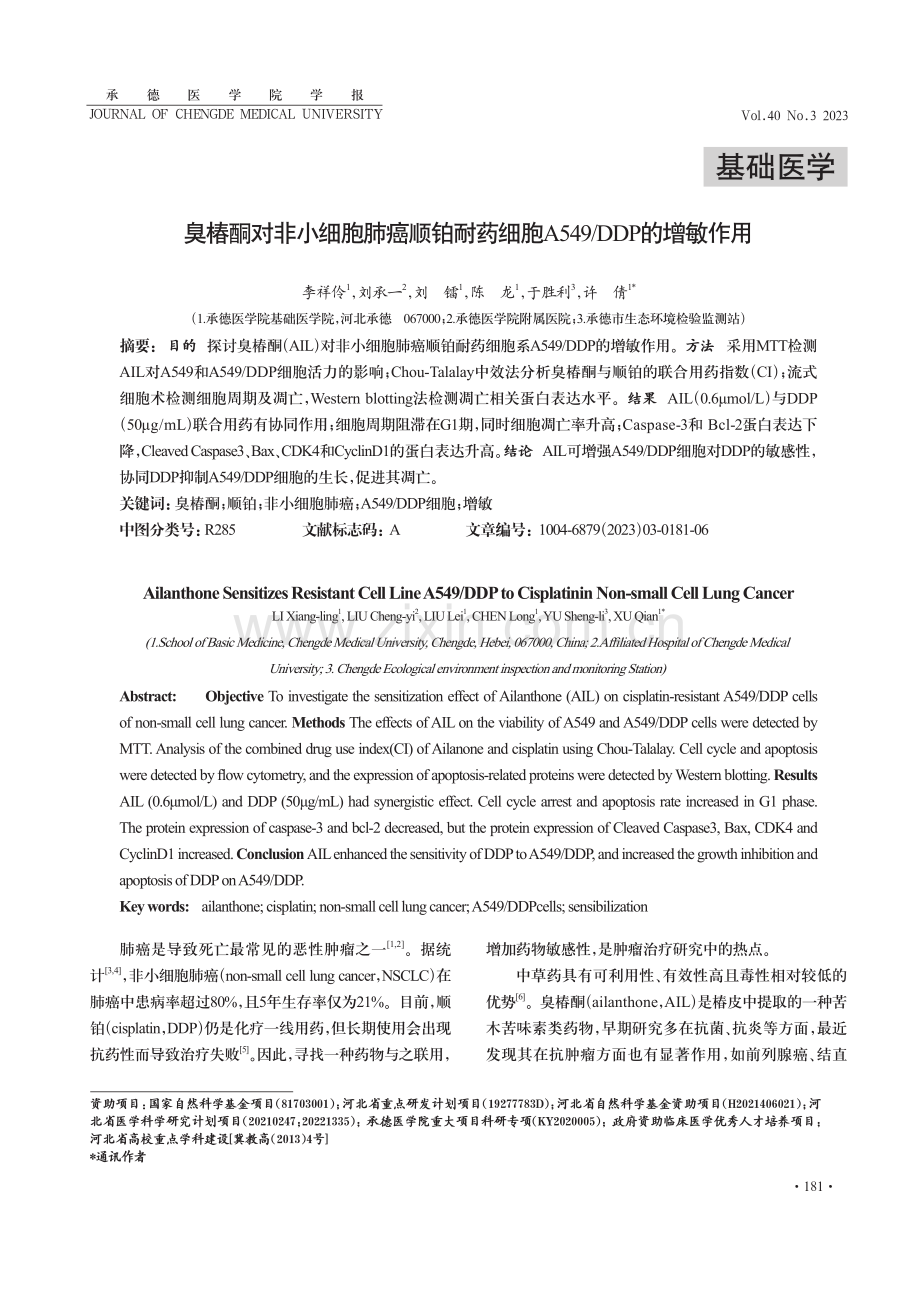 臭椿酮对非小细胞肺癌顺铂耐药细胞A549_DDP的增敏作用.pdf_第1页