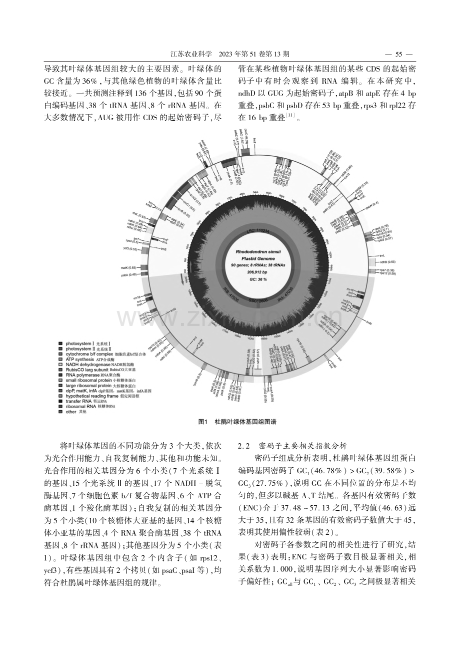 杜鹃叶绿体基因组特征及密码子偏好性分析_万露露.pdf_第2页