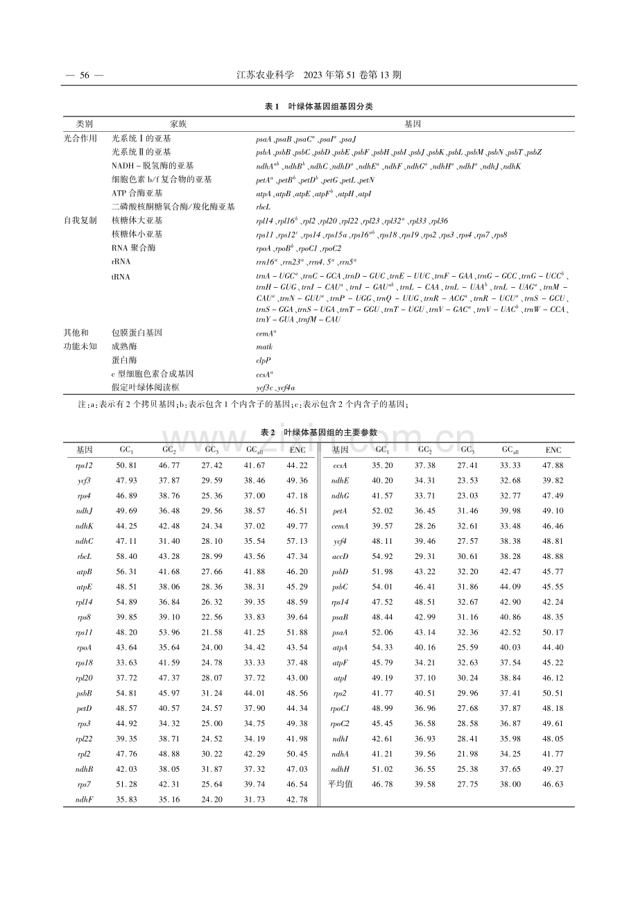 杜鹃叶绿体基因组特征及密码子偏好性分析_万露露.pdf_第3页