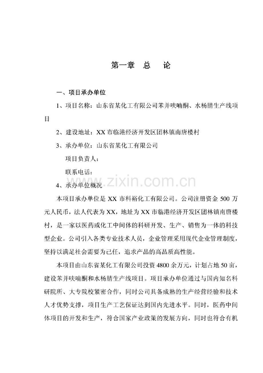 山东省某化工公司苯并呋喃酮、水杨腈生产线项目可行性研究报告.pdf_第3页