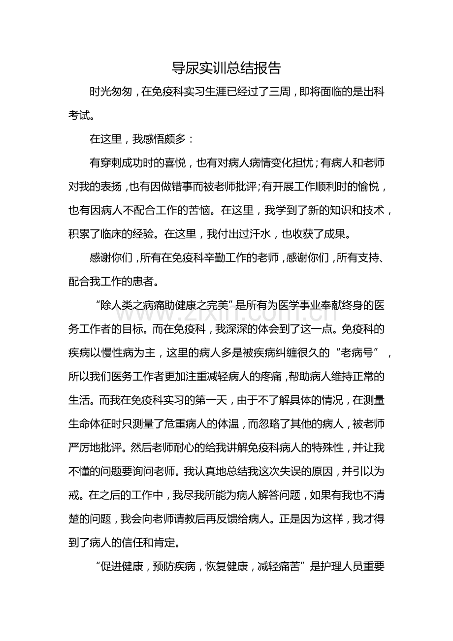 导尿实训总结报告.docx_第1页