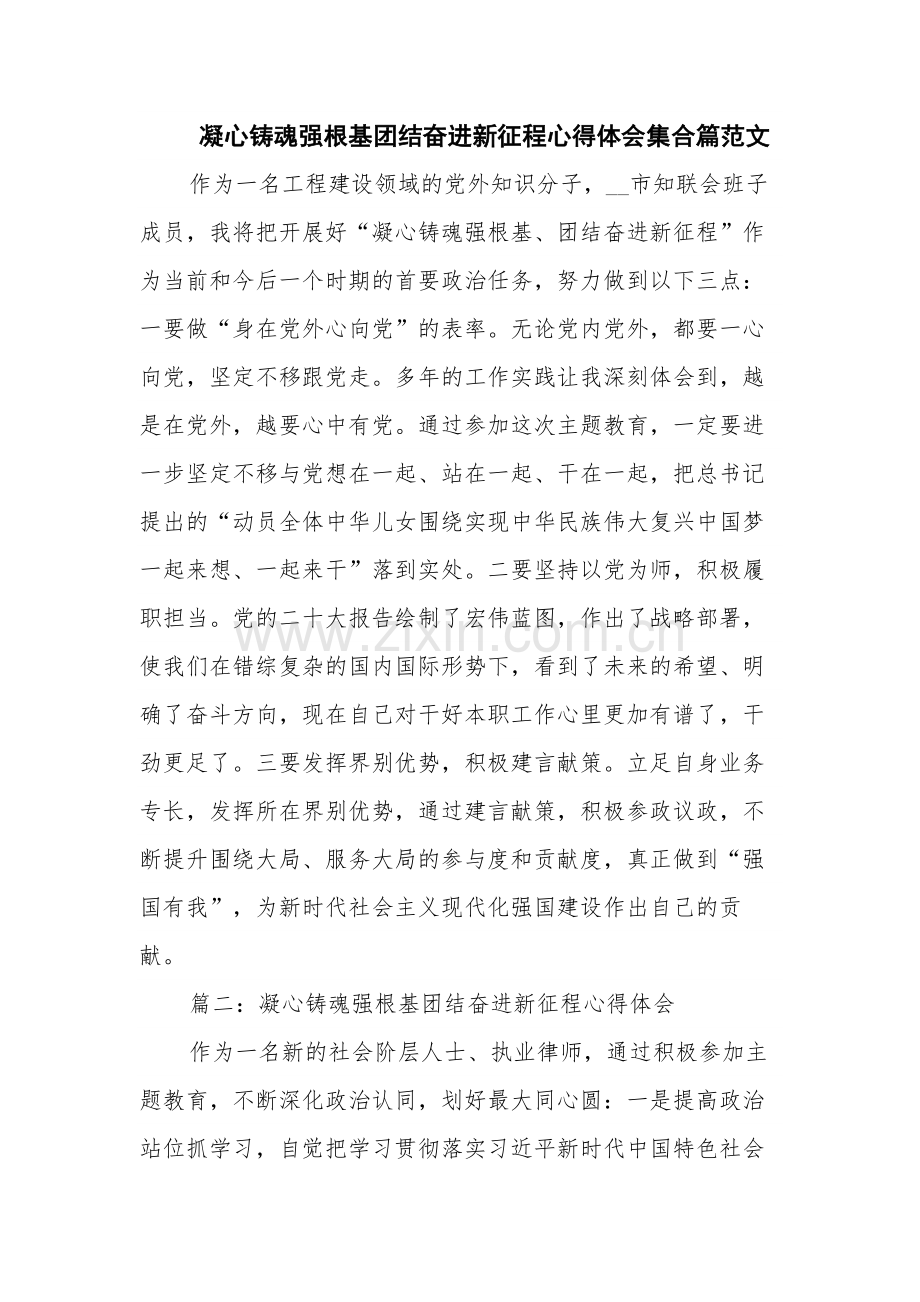 凝心铸魂强根基团结奋进新征程心得体会集合篇范文.docx_第1页