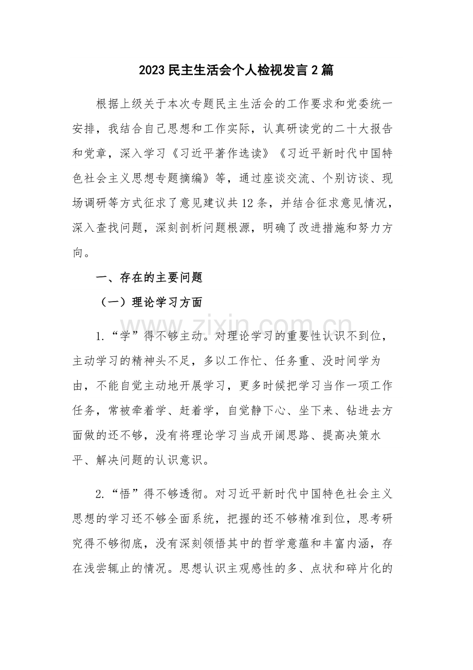 2023民主生活会个人检视发言2篇.docx_第1页