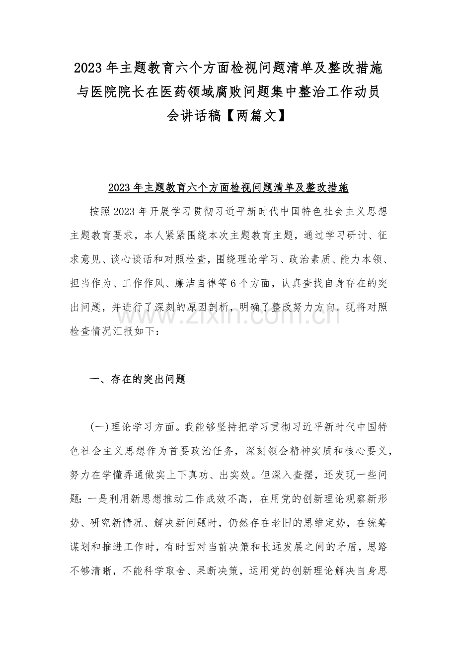 2023年主题教育六个方面检视问题清单及整改措施与医院院长在医药领域腐败问题集中整治工作动员会讲话稿【两篇文】.docx_第1页