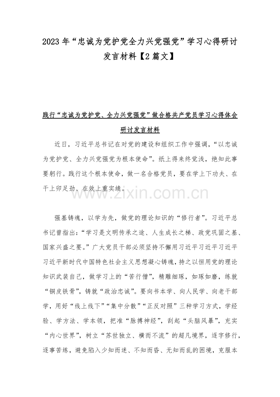 2023年“忠诚为党护党全力兴党强党”学习心得研讨发言材料【2篇文】.docx_第1页