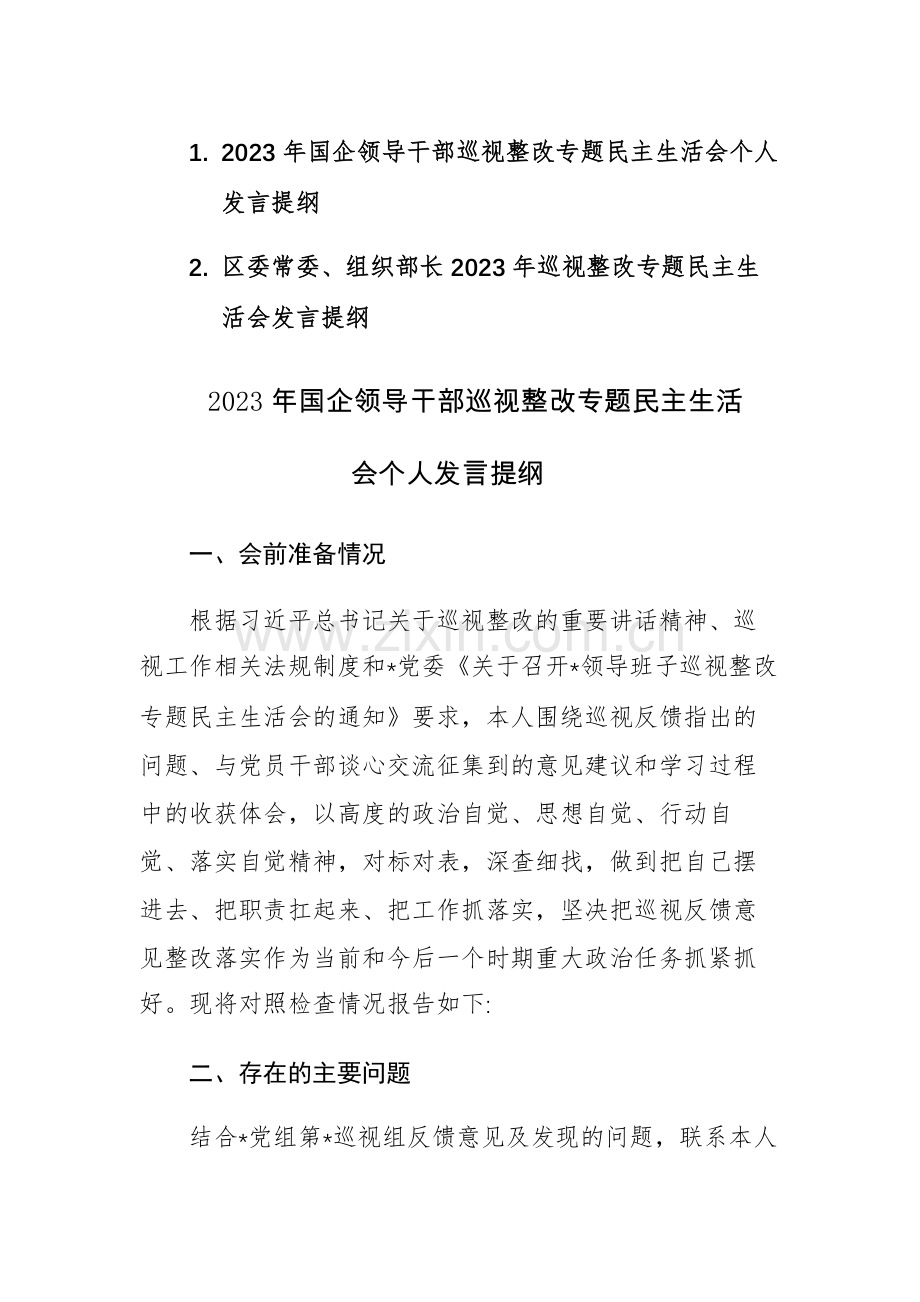 两篇：2023年领导干部巡视整改专题民主生活会个人发言提纲范文.docx_第1页