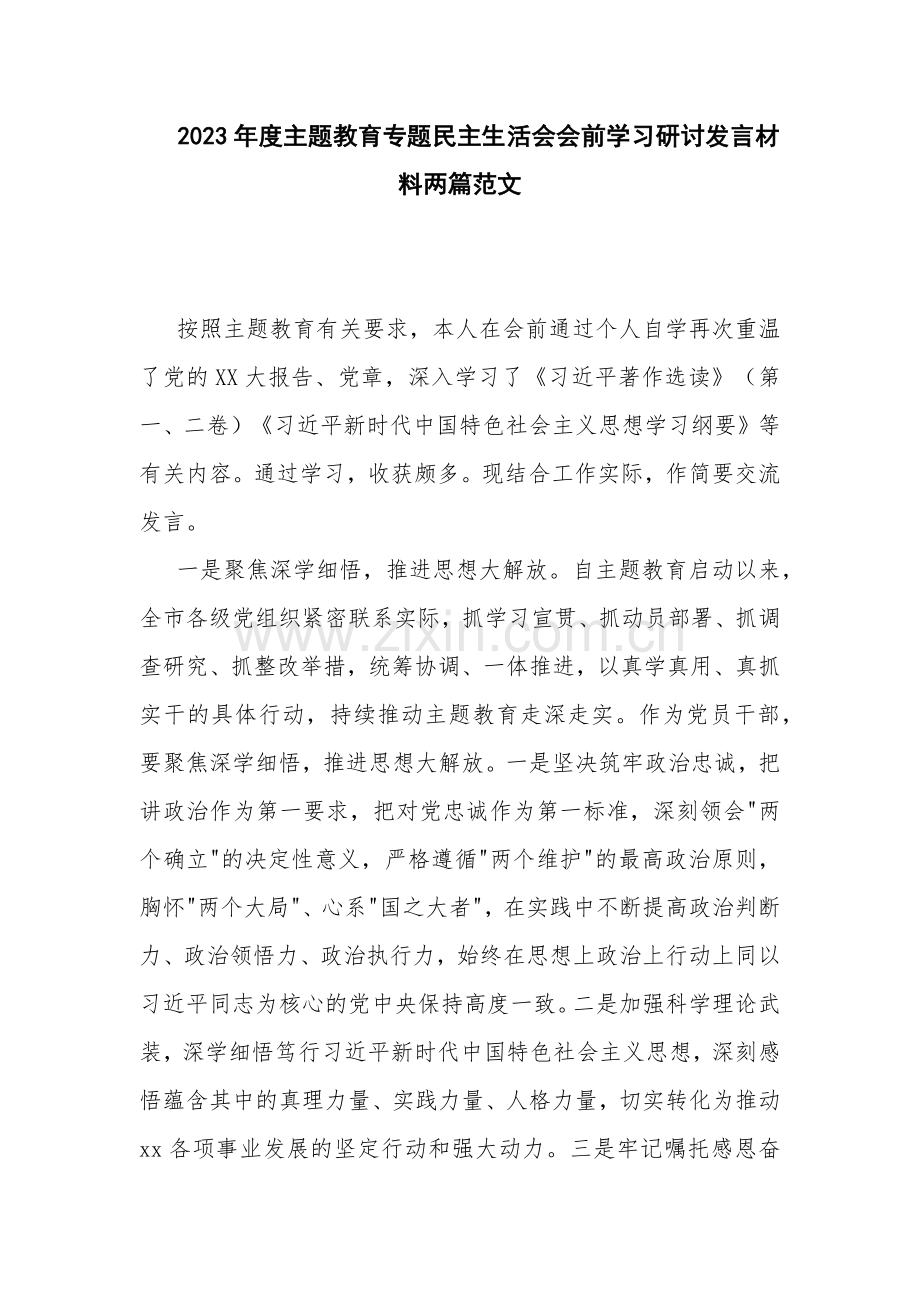 2023年度主题教育专题民主生活会会前学习研讨发言材料两篇范文.docx_第1页