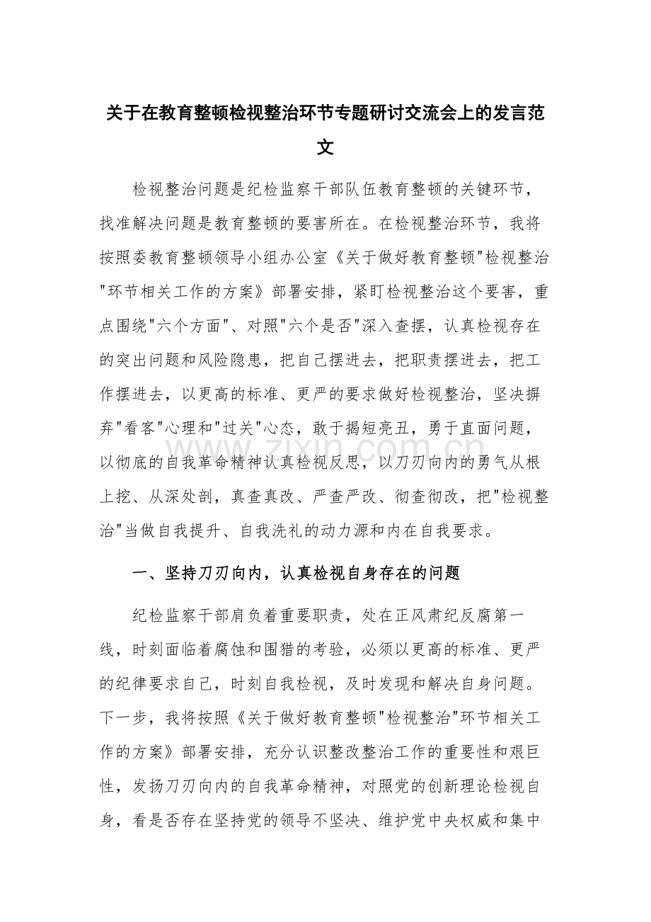 关于在教育整顿检视整治环节专题研讨交流会上的发言范文.docx_第1页