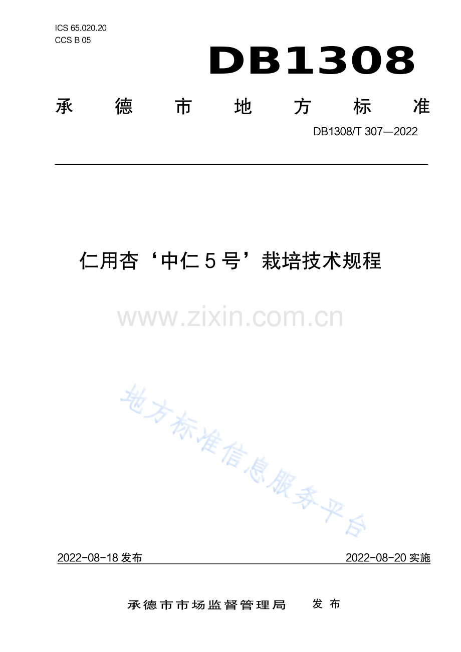 DB1308_T 307-2022 仁用杏‘中仁5号’栽培技术规程.pdf_第1页