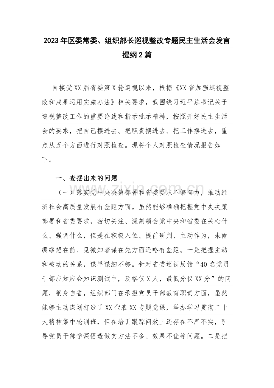 2023年区委常委、组织部长巡视整改专题民主生活会发言提纲2篇.docx_第1页