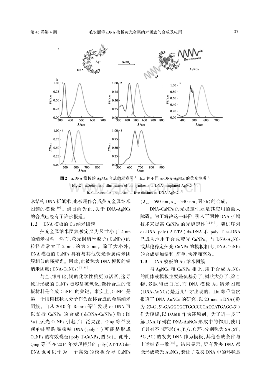 DNA模板荧光金属纳米团簇的合成及应用.pdf_第3页