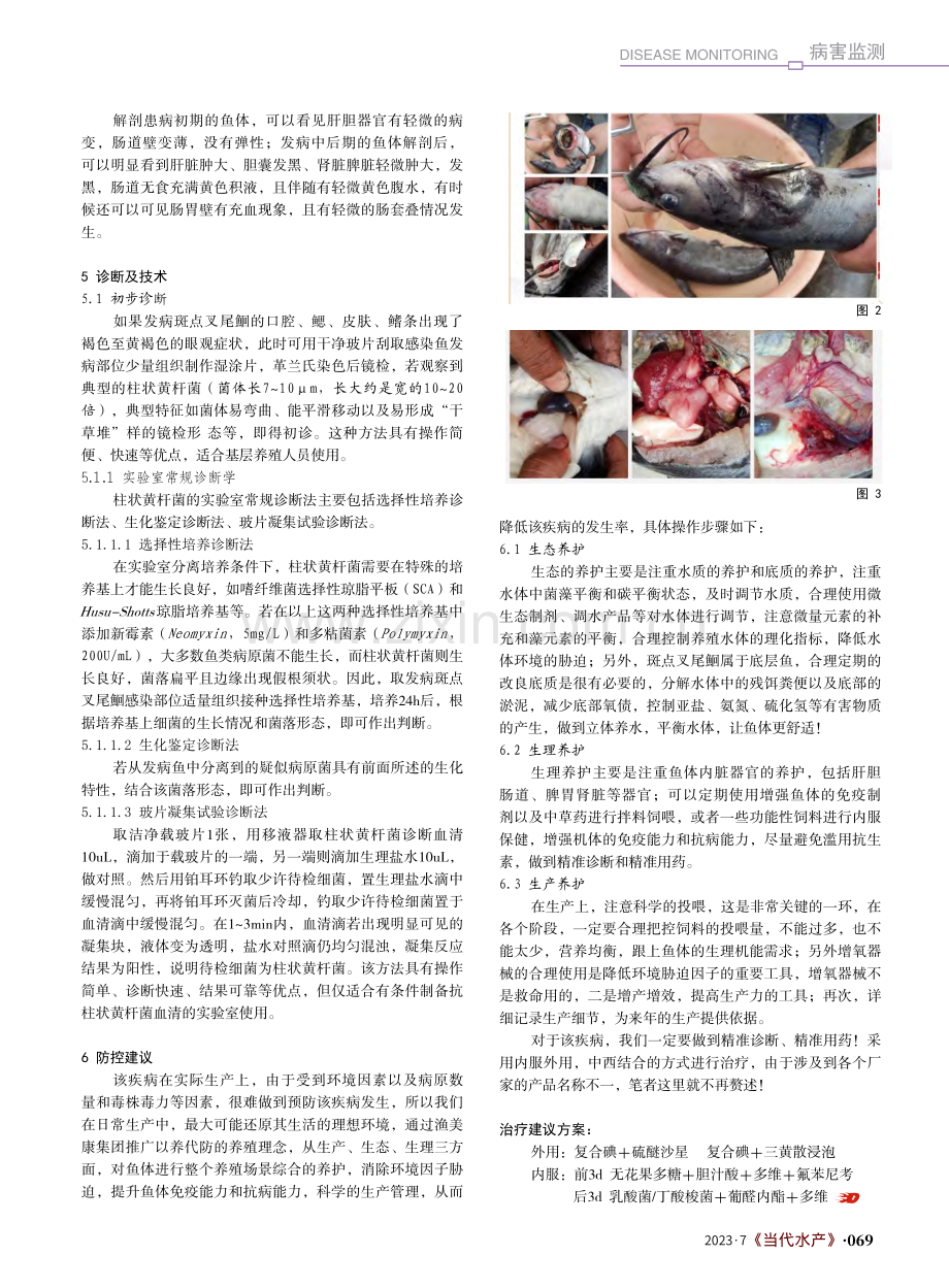 斑点叉尾鮰柱形病_谢济邦.pdf_第2页