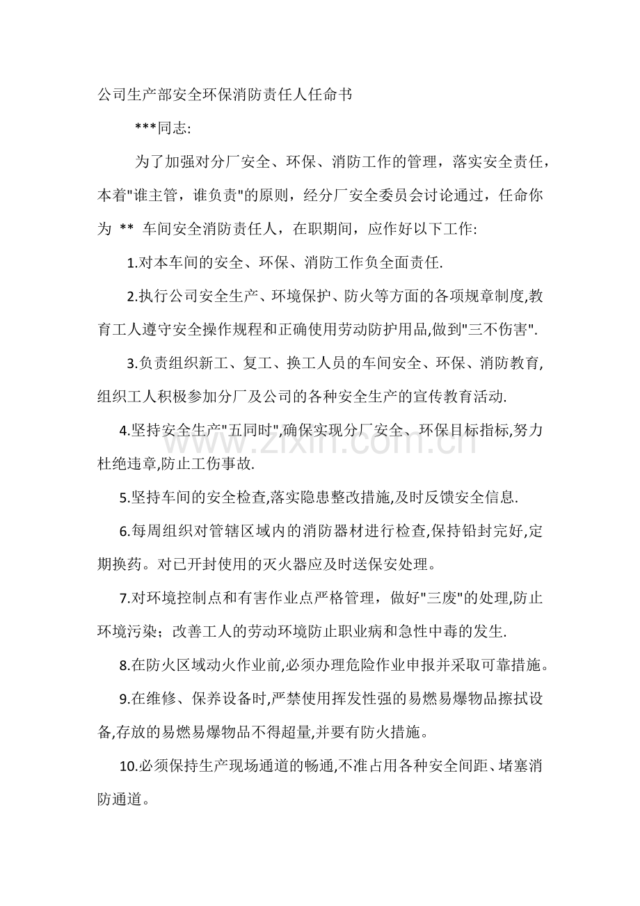 公司生产部安全环保消防责任人任命书.docx_第1页