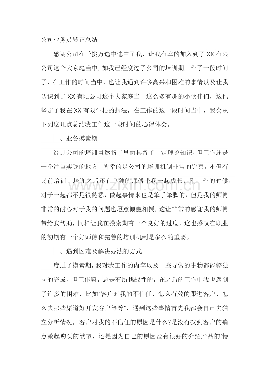 公司业务员转正总结.docx_第1页