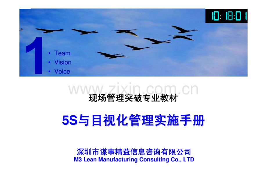 5S与目视化管理实施手册.pdf_第1页