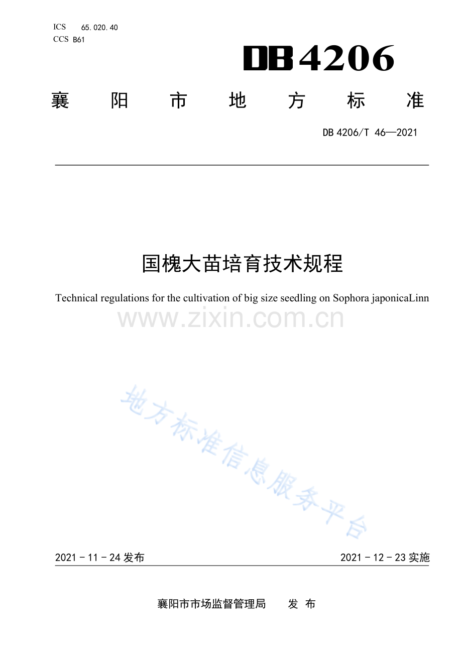 DB4206T46-2021国槐大苗培育技术规程.pdf_第1页