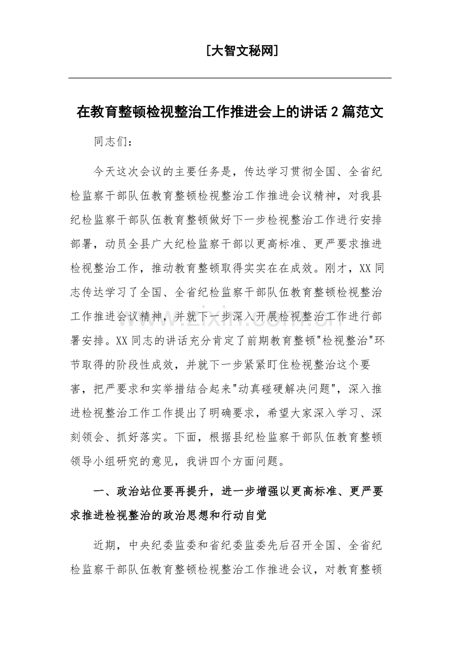 在教育整顿检视整治工作推进会上的讲话2篇范文.docx_第1页