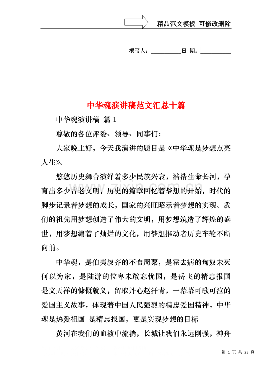 中华魂演讲稿范文汇总十篇.docx_第1页