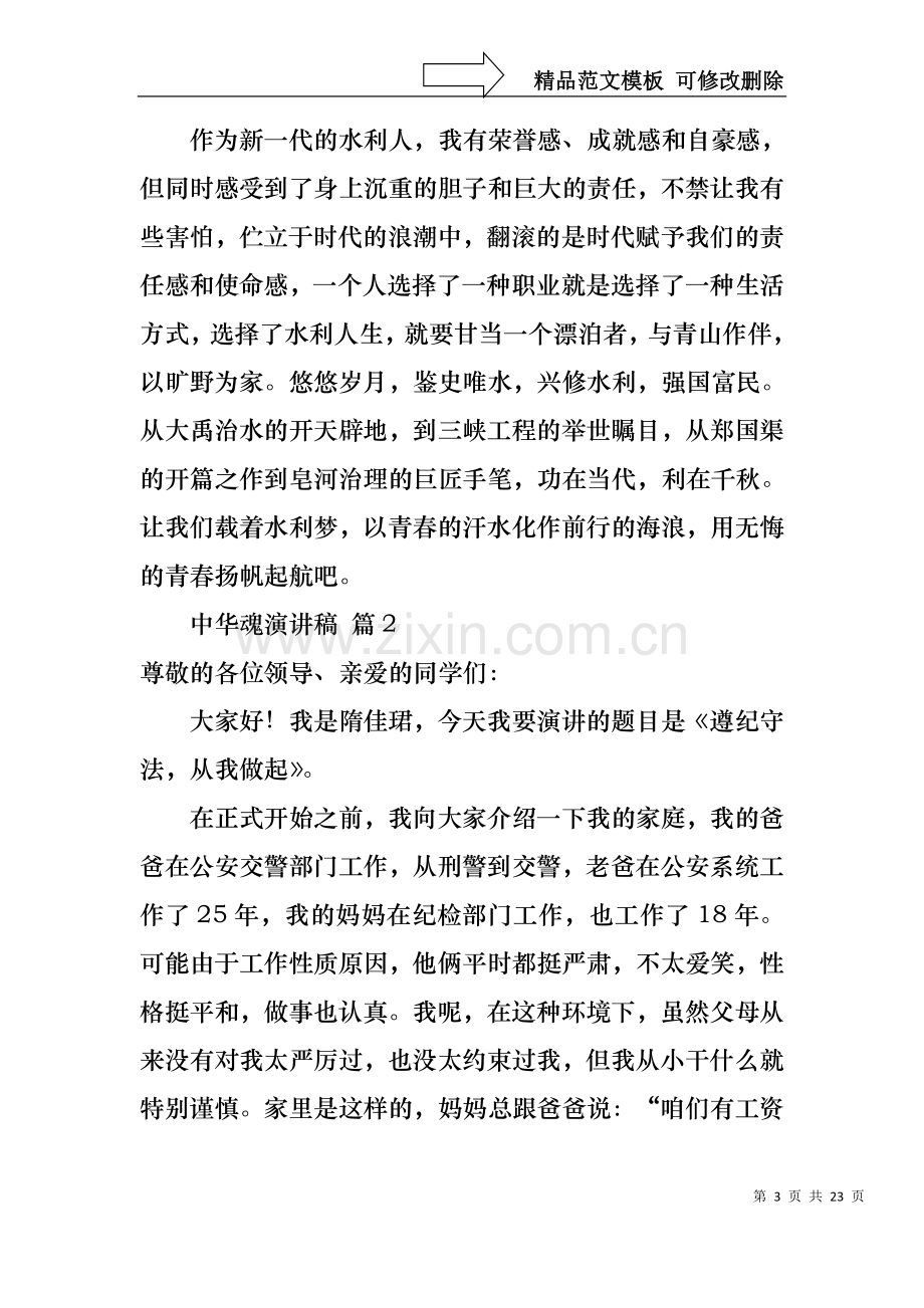 中华魂演讲稿范文汇总十篇.docx_第3页