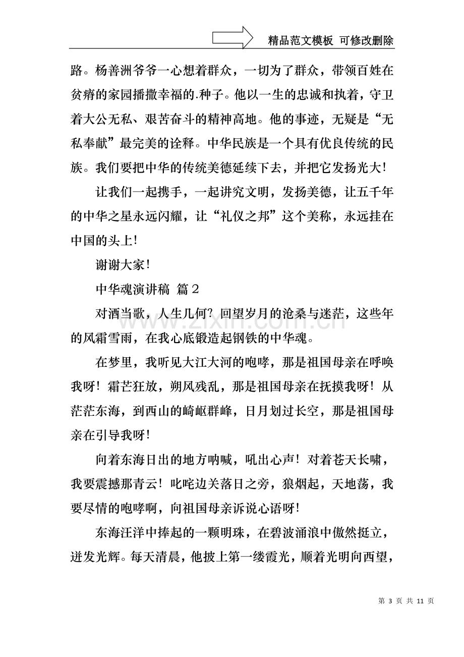 中华魂演讲稿汇编五篇1.docx_第3页