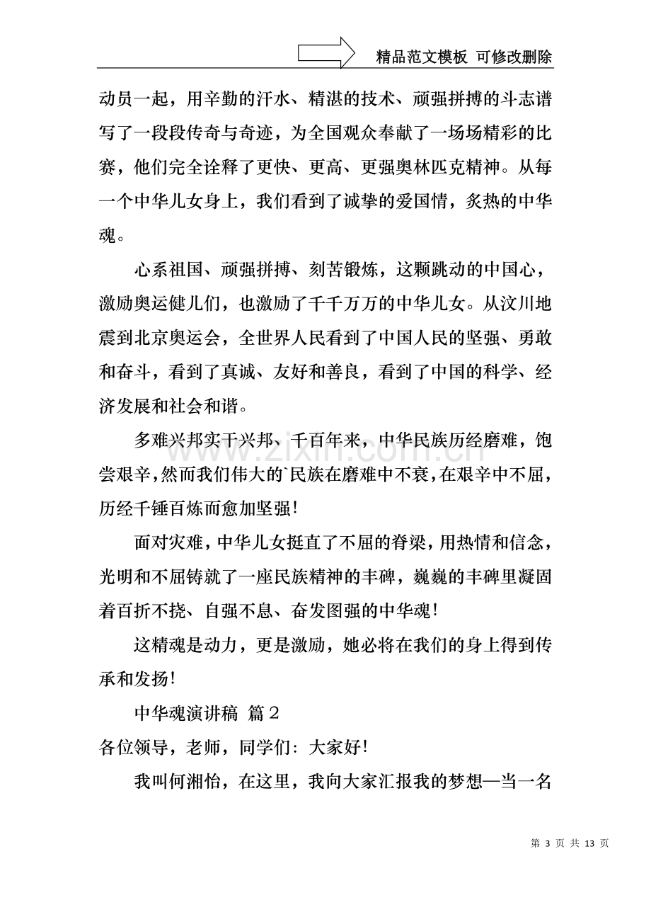 中华魂演讲稿汇总六篇.docx_第3页