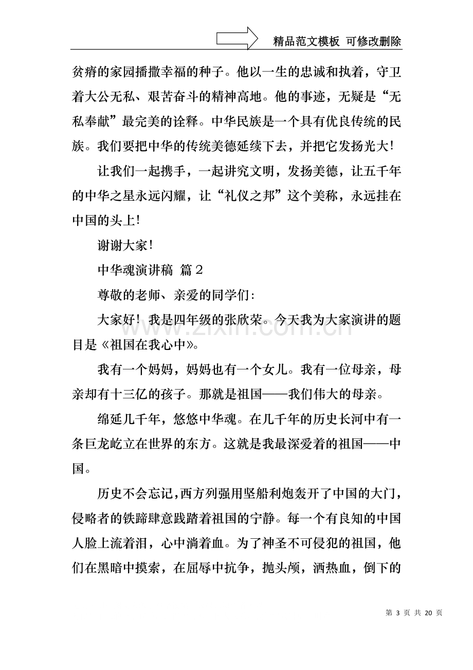 中华魂演讲稿模板合集十篇.docx_第3页