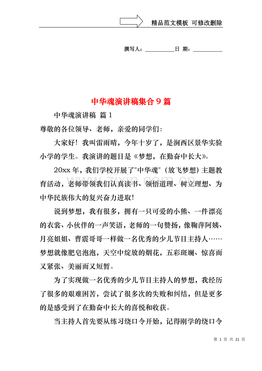 中华魂演讲稿集合9篇.docx_第1页